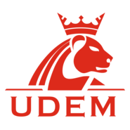 گواهینامه UDEM برای تجهیزات زمین بازی سرپوشیده